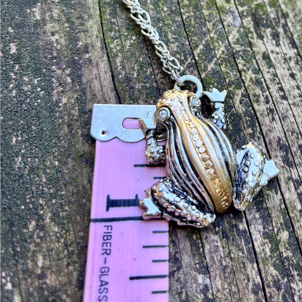Chico’s Frog Charm Necklace on long chain.